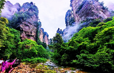 烟雨金鞭溪：张家界峰林峡谷的生态文旅画卷