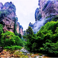 烟雨金鞭溪:张家界峰林峡谷的生态文旅画卷