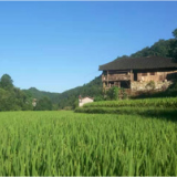 驻村札记:在乡村振兴一线过个有意义的“七一”