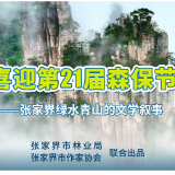 张家界绿水青山的文学叙事|胡英:栖居澧水边