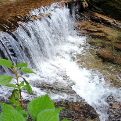 张家界武陵源白虎堂:山水藏清欢