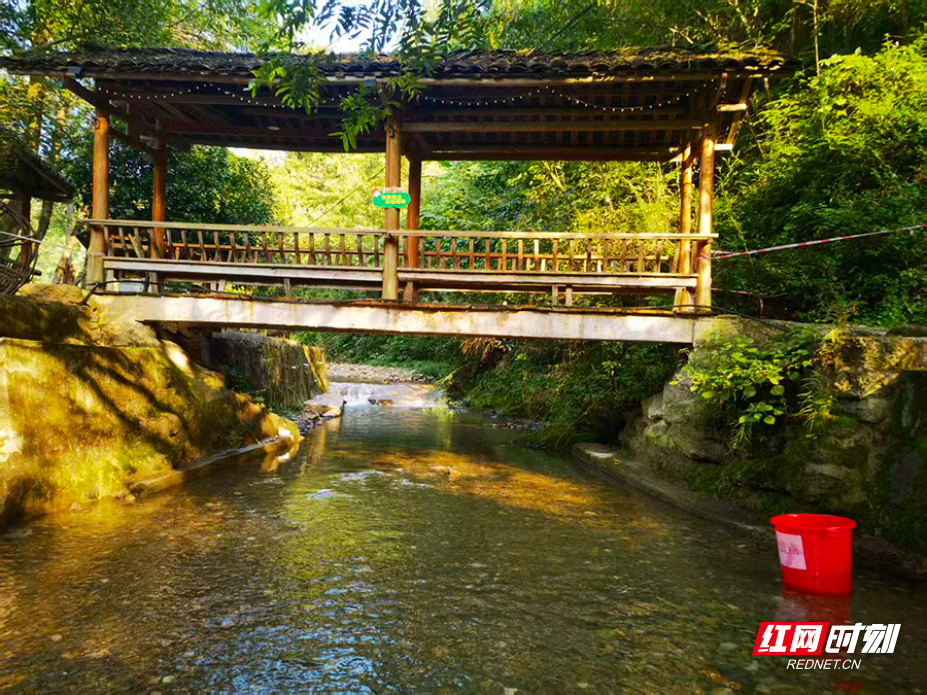 桑植县：浸峪村举办亲水亲子活动 解锁夏日乡村游玩乐趣