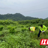 张家界高速武陵源收费站与武陵源管理所党支部联合开展助农惠农主题党日活动