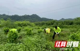 张家界高速武陵源收费站与武陵源管理所党支部联合开展助农惠农主题党日活动