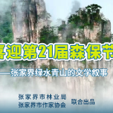 张家界绿水青山的文学叙事|杨剑城:林子里的光