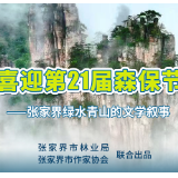 张家界绿水青山的文学叙事|方向:张家界,那些蒸蒸日上的绿色修辞(组诗)