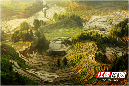微信图片_20201103122608.png