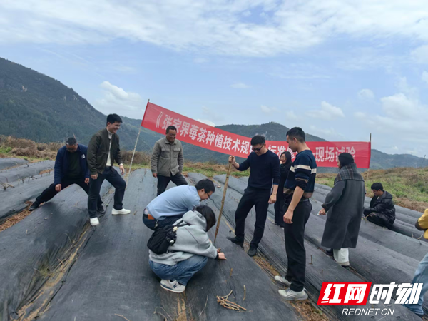 微信图片_2026-04-08_093218_507.png 微信图片_2026-04-08_093218_507.png