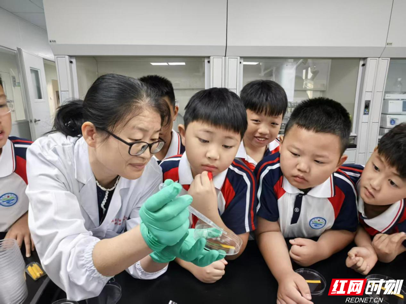 微信图片_2026-06-20_153457_635.png 微信图片_2026-06-20_153457_635.png