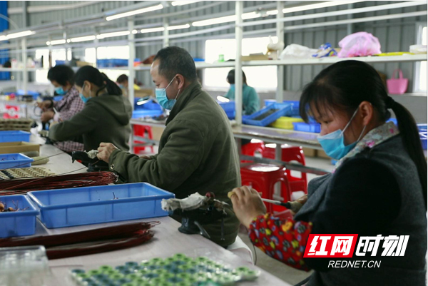 临武：新的社会阶层人士共克时艰战疫情助发展
