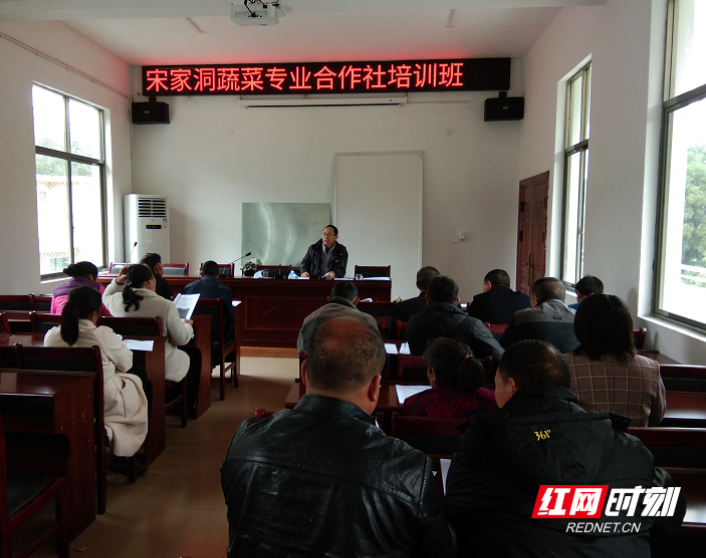 郴州：农技人员进田间，科学知识助增收