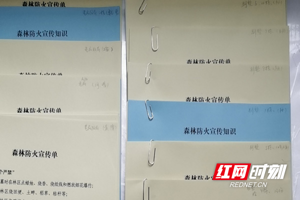 临武：文明祭扫，同心抗疫
