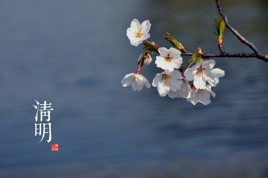 北湖区华塘镇：“三级联动”，让清明节“平安”又“清明”