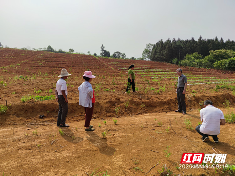 资兴市唐洞街道：产业扶贫验收促脱贫