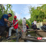 国网北湖区供电公司：架起群众抗旱用电“连心桥”