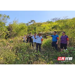 永兴县马田镇： 200多名巡山护林员布防到森林防火“前线”