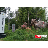 郴州桂东：金洞干群共话民宿发展