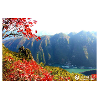 美文 | 冬日遐思