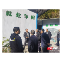 汝城县：审计监督为高质量发展系好“安全带”