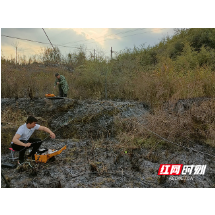 突发山火 郴州联通第一时间恢复中断光缆保通信
