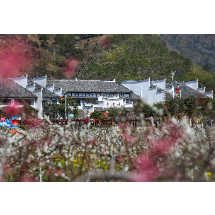 红色沙洲春意浓