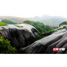 三月，去飞天山踏青春游