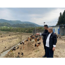 桂阳：“导师帮带”带好村干部