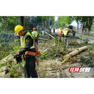 打造平安交通资兴公路部门从清除路障开始