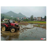 宜章县黄沙镇多举措强力推进耕地抛荒治理工作