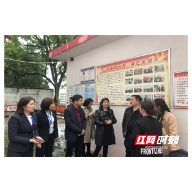 湖南省计生协实地调研丽景社区“暖心家园”项目