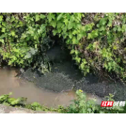 清污净源在行动：桂阳公安破获一起污染环境案