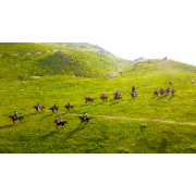 视频 | 骑马射箭论英雄！仰天湖大草原“马背节”开幕