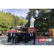 学史明志  知史励行  桂东县扎实推进党史学习教育纪实