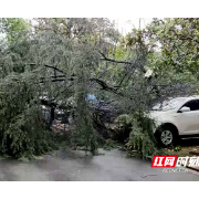 郴州联通第一时间抗击暴雨冰雹保通信