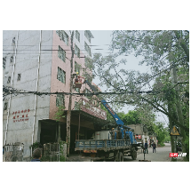 枯树危及安全，北湖区增福街道果断处置