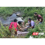 “民间河长”巡河救人记