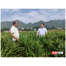 燃起“永明灯” 照亮大山路