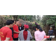嘉禾乡村干群严守“六卡”保平安