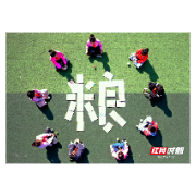 嘉禾： 多彩活动迎接“世界粮食日”
