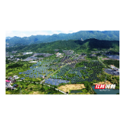 桂阳：市场化矿山修复 愈合“生态伤疤”