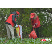 安仁：寒冬又见义务劳动“一抹红”