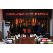 沙洲日记 | 搭好同心桥 共赴振兴路