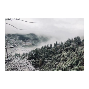 郴州桂阳：雾凇美景上线