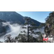 快乐元旦 宜章莽山：频现浩瀚云海景观 日游客接待量2000人