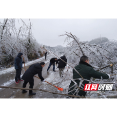 组图 | 临武：大雪至 情漫天