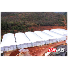 临武：人勤春早 鸡枞菌基地忙育苗