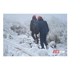 步履维艰，他们一往无前