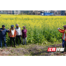 临武：油菜花开助推乡村旅游热