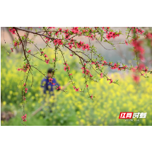 资兴：春暖花开农事忙
