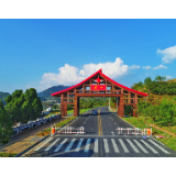 沙洲日记｜我在沙洲寻找发展初心